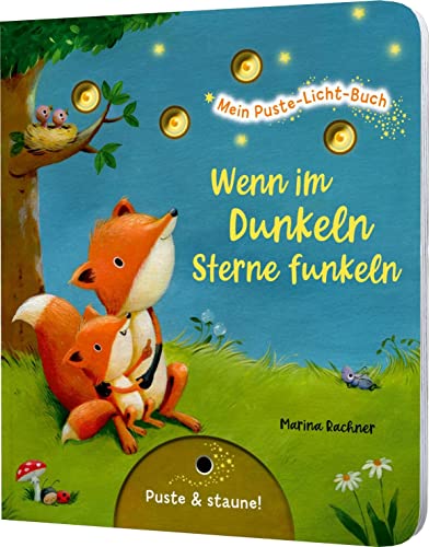 Mein Puste-Licht-Buch: Wenn im Dunkeln Sterne funkeln: Gute-Nacht-Buch mit Puste-Licht und...